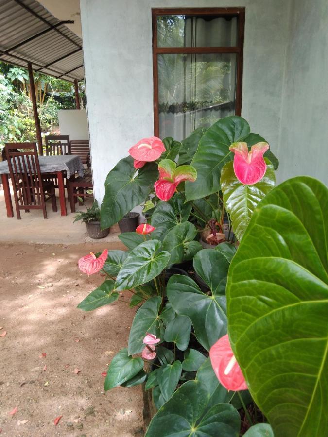Quiet Rest Inn إيلا المظهر الخارجي الصورة