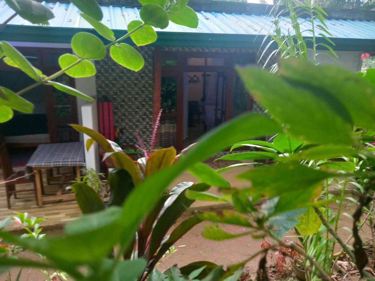 Quiet Rest Inn إيلا المظهر الخارجي الصورة