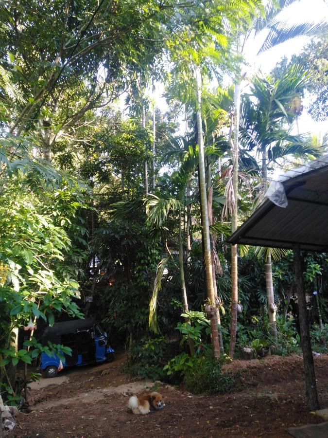 Quiet Rest Inn إيلا المظهر الخارجي الصورة